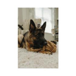 Naturalny gryzak z włókna kokosowego      CocoBall rozm.S CANOPHERA