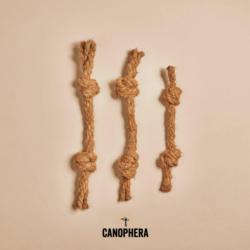 Naturalny gryzak z włókna kokosowego      CocoBone rozm.M CANOPHERA