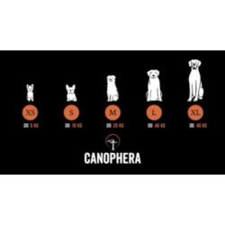 Gryzak z korzenia wrzośca L CANOPHERA