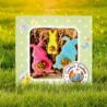 Wielkanocne ciasteczka dla psa 3 szt.     SOMEBUNNY LOVES YOU Easter Box COOKAS COOKIES