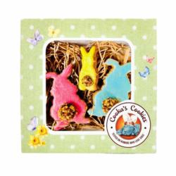 Wielkanocne ciasteczka dla psa 3 szt.     SOMEBUNNY LOVES YOU Easter Box COOKAS COOKIES