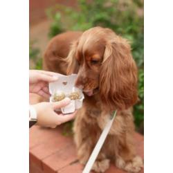 Chrupiące jajka-ciasteczka dla psa EGGS   IN A BASKET 70g COOKAS COOKIES