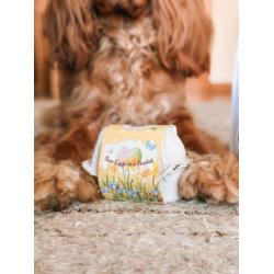 Chrupiące jajka-ciasteczka dla psa EGGS   IN A BASKET 70g COOKAS COOKIES