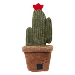 Zabawka mata węchowa Kaktus Pawtanic      Garden