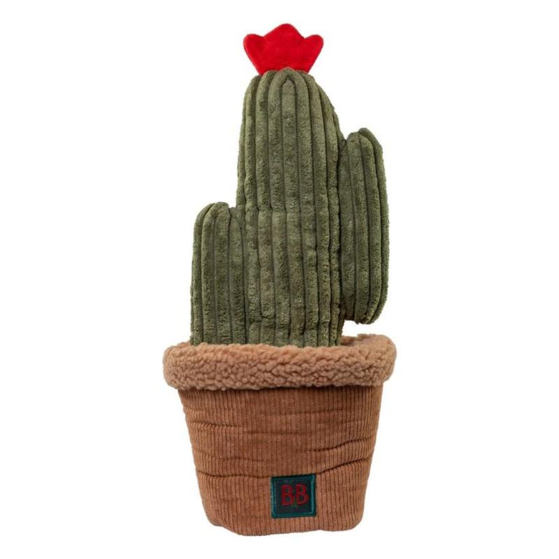 Zabawka mata węchowa Kaktus Pawtanic      Garden