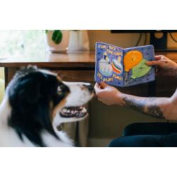 Kartka urodzinowa zabawka pluszowa PLAY