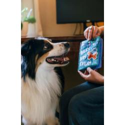 Kartka urodzinowa zabawka pluszowa PLAY