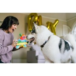 Zabawka urodzinowa Piniata Party Animal   PLAY