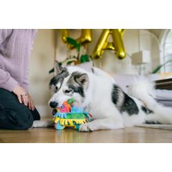 Zabawka urodzinowa Piniata Party Animal   PLAY