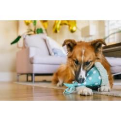 Zabawka urodzinowa czapeczka Yappy Party  Hat PLAY