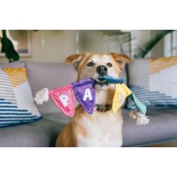 Zabawka urodzinowa Baner szarpak Party    PLAY