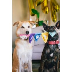 Zabawka urodzinowa Baner szarpak Party    PLAY