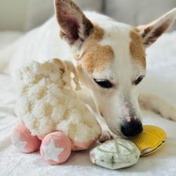 Zabawka węchowa dla psa Wrotki LAMBWOLF