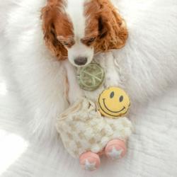 Zabawka węchowa dla psa Wrotki LAMBWOLF