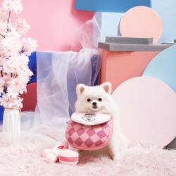 Zabawka dla psa Torebka z kosmetykami     Handbag Interactive toy HUGSMART