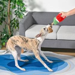 Zabawka dla psa Arbuz na linie            Watermelon Popsicles-Plush Toy HUGSMART