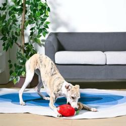 Zabawka dla psa Arbuz na linie            Watermelon Popsicles-Plush Toy HUGSMART