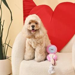 Zabawka dla psa Makeup Cushion            Foundation HUGSMART