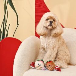 Zabawka dla psa Słodkie truskawki Sweet   ChocoBerries HUGSMART