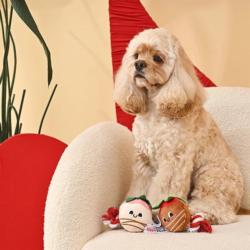 Zabawka dla psa Słodkie truskawki Sweet   ChocoBerries HUGSMART