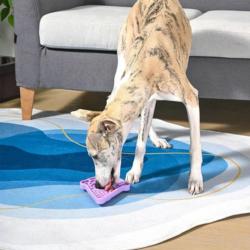 Mata do lizania Lody Dog Bowl Pet lick    mat Ice-cream HUGSMART