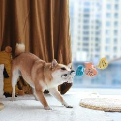 Zabawka dla psa Sznur muszelek Shell      Necklace rope toy HUGSMART