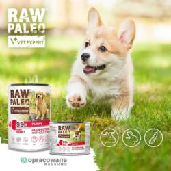 Karma mokra dla szczeniąt wołowina        z królikiem i cukinią 200 g RAW PALEO