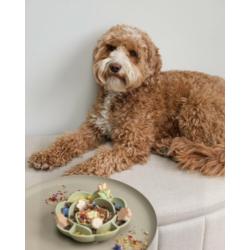 Miska spowalniająca jedzenie zielona      Flower Slow Feeder FURLOU