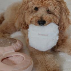 Róż do policzków zabawka węchowa          LAMBWOLF