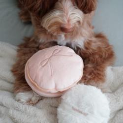 Róż do policzków zabawka węchowa          LAMBWOLF