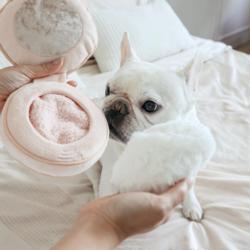 Róż do policzków zabawka węchowa          LAMBWOLF