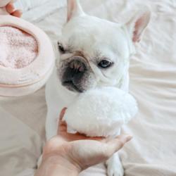 Róż do policzków zabawka węchowa          LAMBWOLF