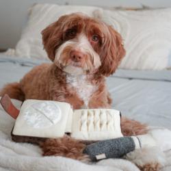 Puder z pędzlem zabawka węchowa LAMBWOLF