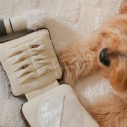 Puder z pędzlem zabawka węchowa LAMBWOLF