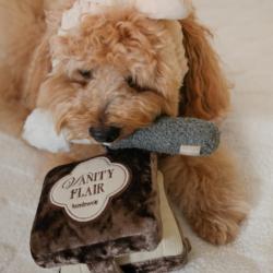 Puder z pędzlem zabawka węchowa LAMBWOLF