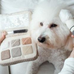 Paletka cieni zabawka węchowa LAMBWOLF