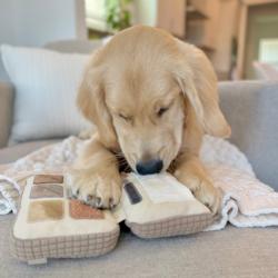 Paletka cieni zabawka węchowa LAMBWOLF