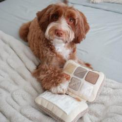 Paletka cieni zabawka węchowa LAMBWOLF