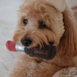 Szminka zabawka LAMBWOLF