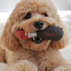 Szminka zabawka LAMBWOLF