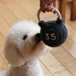 Kula kettle zabawka dla psa LAMBWOLF