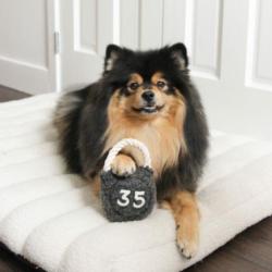 Kula kettle zabawka dla psa LAMBWOLF