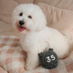 Kula kettle zabawka dla psa LAMBWOLF