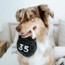 Kula kettle zabawka dla psa LAMBWOLF