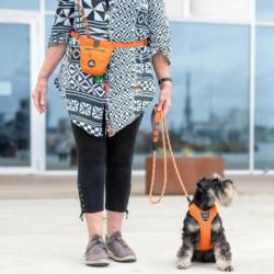 Saszetka Go explore Treat Bag Orange Sun  DOG COPENHAGEN