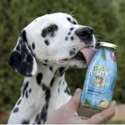 Smoothie Pool Pawty - królik, marchew     i owoce 250 ml SMOOTHIEDOG