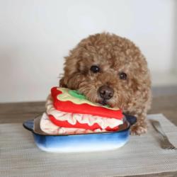 Zabawka węchowa dla psa Lasagna           PUPS&BUBS
