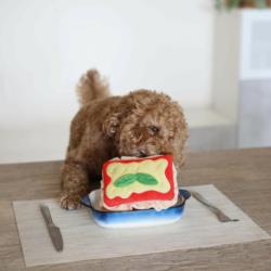 Zabawka węchowa dla psa Lasagna           PUPS&BUBS