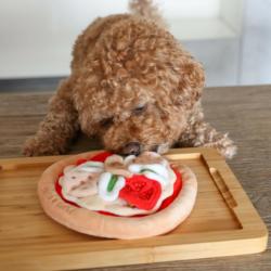 Zabawka węchowa dla psa Pepperoni Pizza   PUPS&BUBS