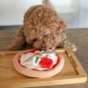 Zabawka węchowa dla psa Pepperoni Pizza   PUPS&BUBS
